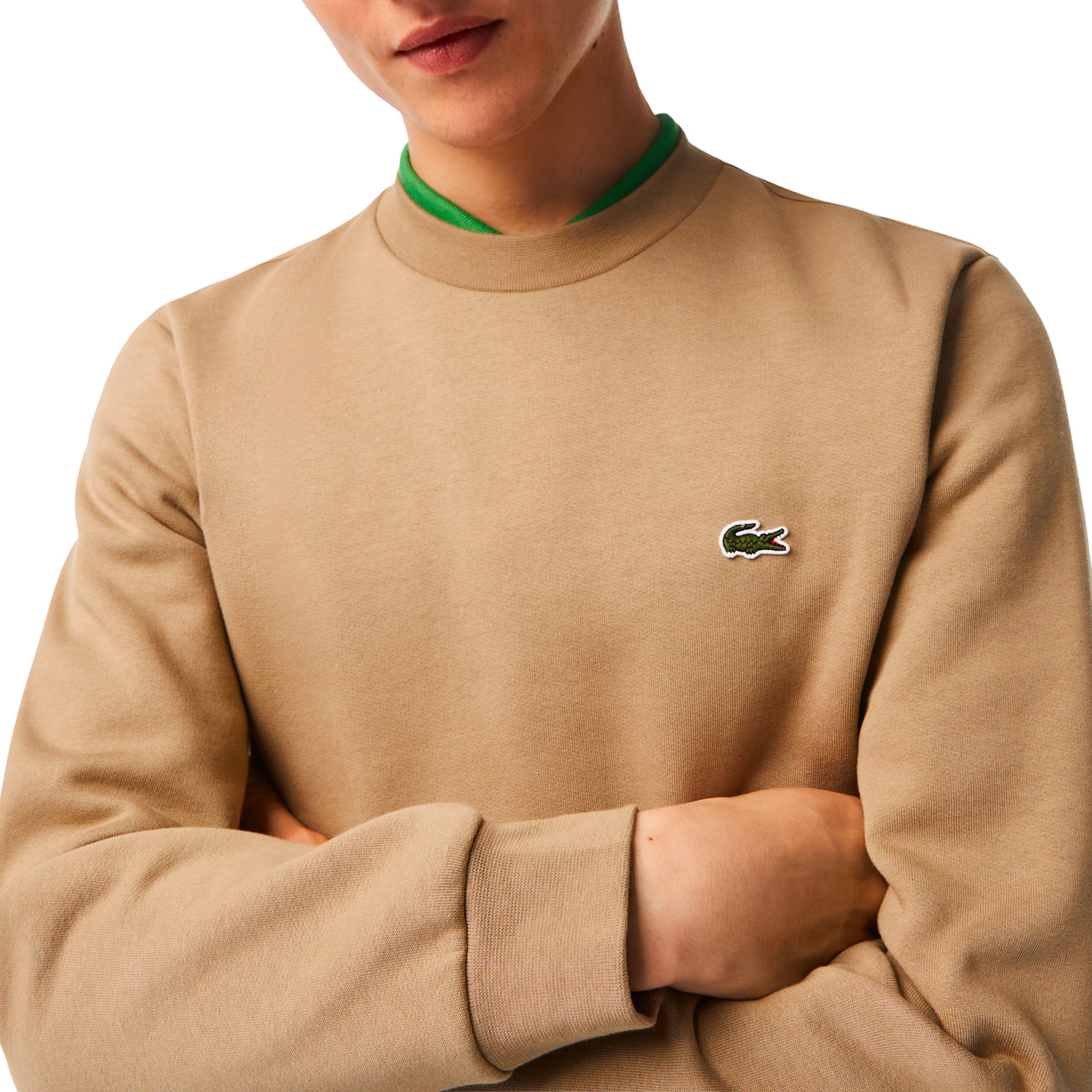 Lacoste Crew Sweat SH9608 - Lion