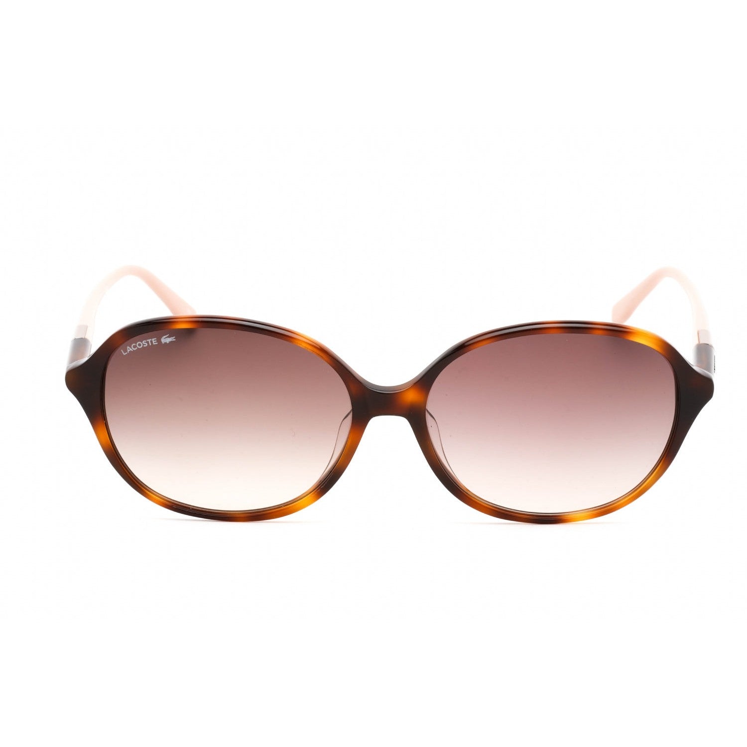 Lacoste L854SA Sunglasses Havana / Brown Gradient Women's